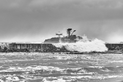 23-01-12_X-Pro3_9361