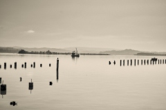 23-02-19_Leica-SL2_1040372