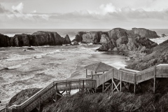 23-02-21_Leica-SL2_1040470