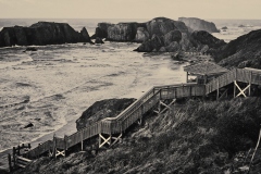 23-02-21_Leica-SL2_1040473