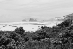 23-03-05_Leica-SL2_1050017bw