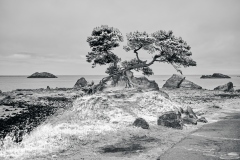 23-06-08_LEICA-SL2_1010272