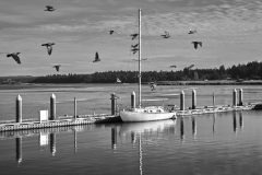 23-10-15_LEICA-M10-MONOCHROM_0626-c1