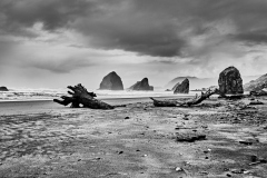 24-01-03_LEICA-SL2_L1000632