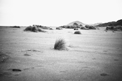 24-01-18-LEICA-M10-MONOCHROM_M10M0616