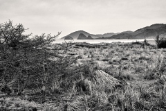 24-01-18-LEICA-M10-MONOCHROM_M10M0648