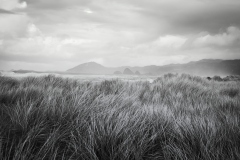 24-02-02_M10M1399-c1