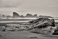 Driftwood at Meyers Creek Beach