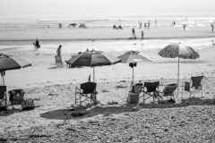 Nantasket Beach Goers