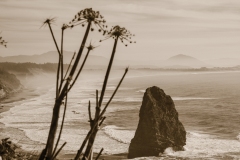 View Over Cape Blanco