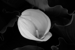 Photograph by Rick MartoranoPhotograph by Rick Martorano