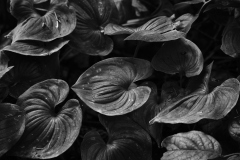 22-08-31_X-T4_5918