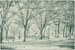 Photograph by Rick Martorano