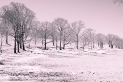 18-03-19_X-Pro2_4376