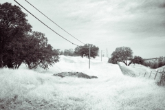 20-11-13_X-Pro2_7627