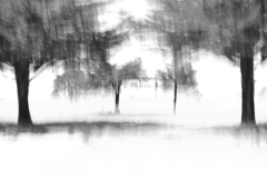 22-06-21_X-Pro3_5058