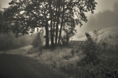 22-09-17_X-Pro3_6065