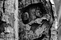 22-09-26_X-Pro2_6228