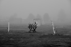 22-10-12_X-Pro3_6656