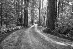 23-02-11_Leica-SL_1000824