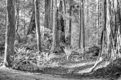 23-02-11_Leica-SL_1000827