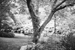 23-09-08_Leica-SL2_1030389