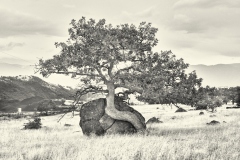 23-10-13_LEICA-M10-MONOCHROM_0468-c1