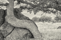 23-10-13_LEICA-M10-MONOCHROM_0473-c1