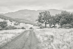 23-10-13_LEICA-M10-MONOCHROM_0474-c1