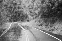 24-02-02_M10M1419-c1