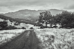 Inland-23-10-13_LEICA-M10-MONOCHROM_0474