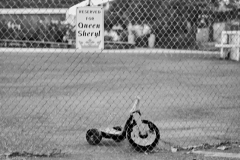 22-08-16_X-Pro3_5504