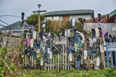 23-01-12_X-Pro3_9404