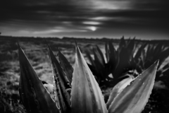 23-02-06_Leica-SL_1000410