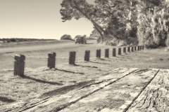 Photograph by Rick Martorano