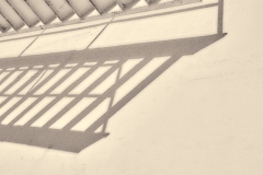 23-02-19_Leica-SL2_1040380