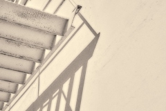 23-02-19_Leica-SL2_1040382