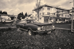 23-12-06_LEICA-SL2_L1000350