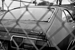 24-01-19-LEICA-M10-MONOCHROM_M10M0693