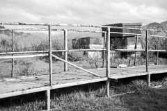 24-01-23_M10M0847