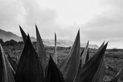 24-01-23_M10M0877